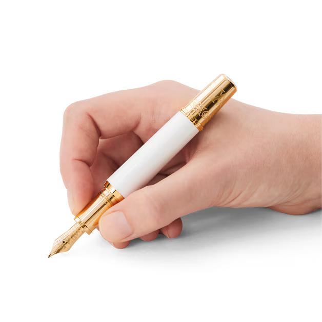 Montblanc Patron of Art Homage to Albert Limited Edition 4810 Fountain Pen M