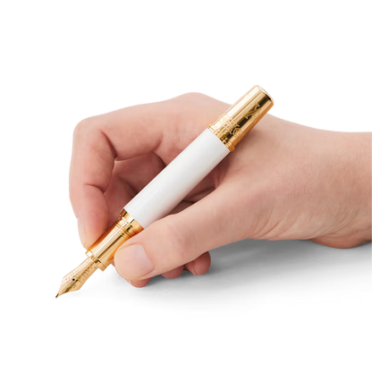 Montblanc Patron of Art Homage to Albert Limited Edition 4810 Fountain Pen M