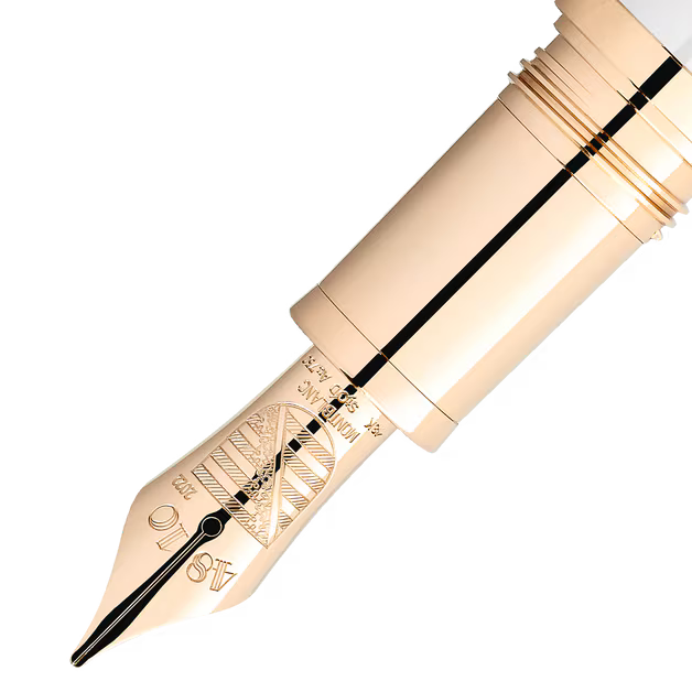 Montblanc Patron of Art Homage to Albert Limited Edition 4810 Fountain Pen F