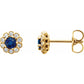 14K Yellow 3.2 mm Round Blue Sapphire & 1/6 CTW Diamond Earrings