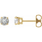 14K Yellow 3/4 CTW Diamond Earrings